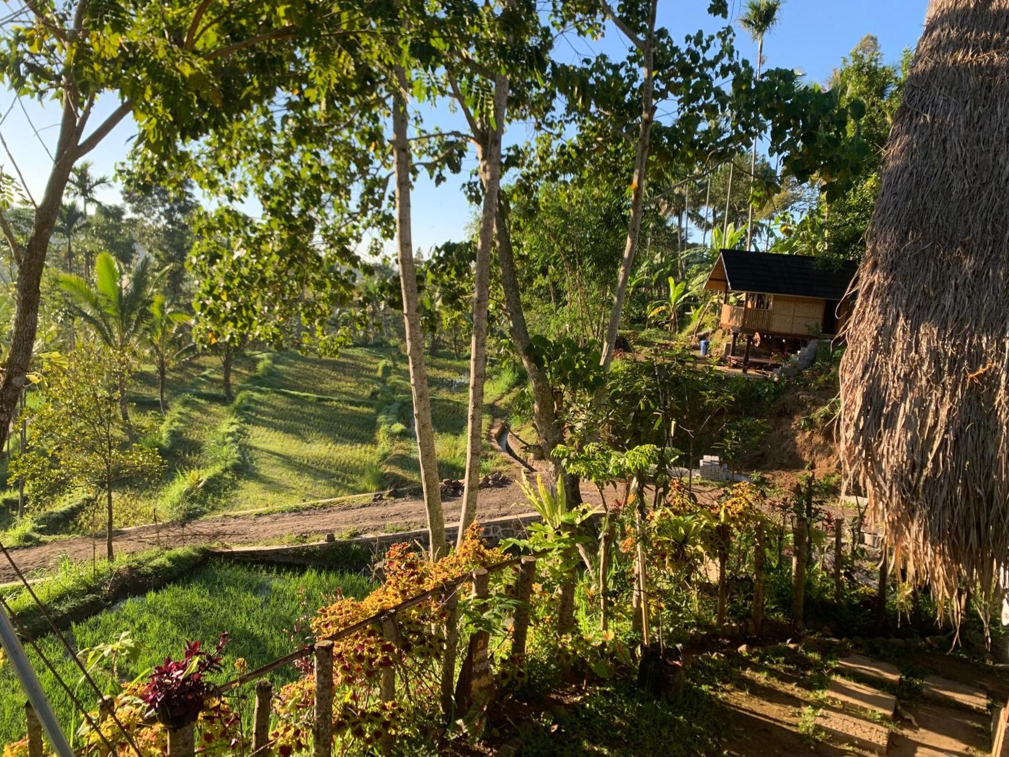 The Alam Tetebatu Bungalow & Restaurant Exterior foto