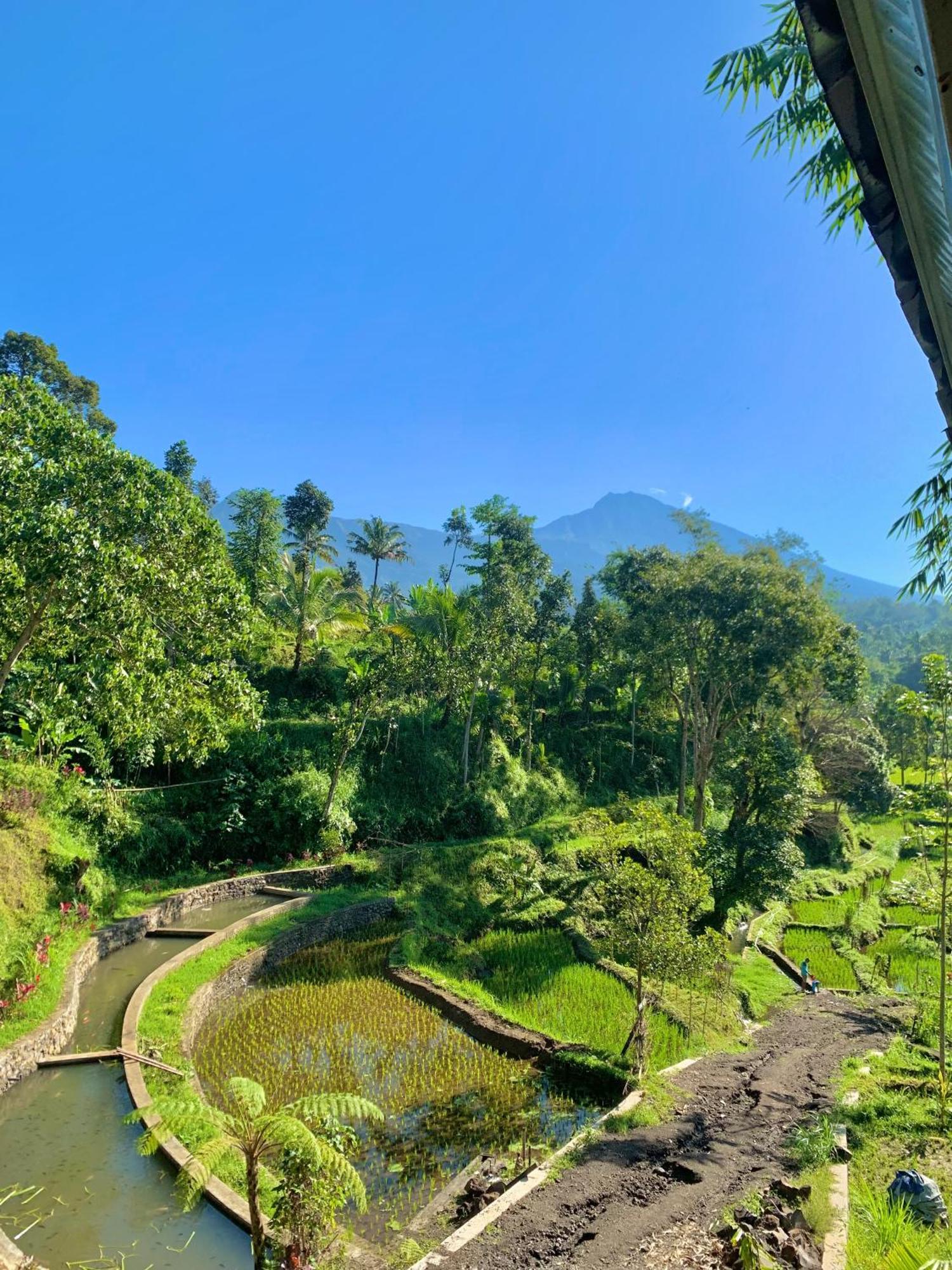 The Alam Tetebatu Bungalow & Restaurant Exterior foto