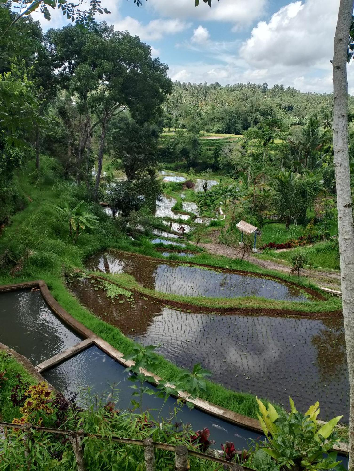 The Alam Tetebatu Bungalow & Restaurant Exterior foto