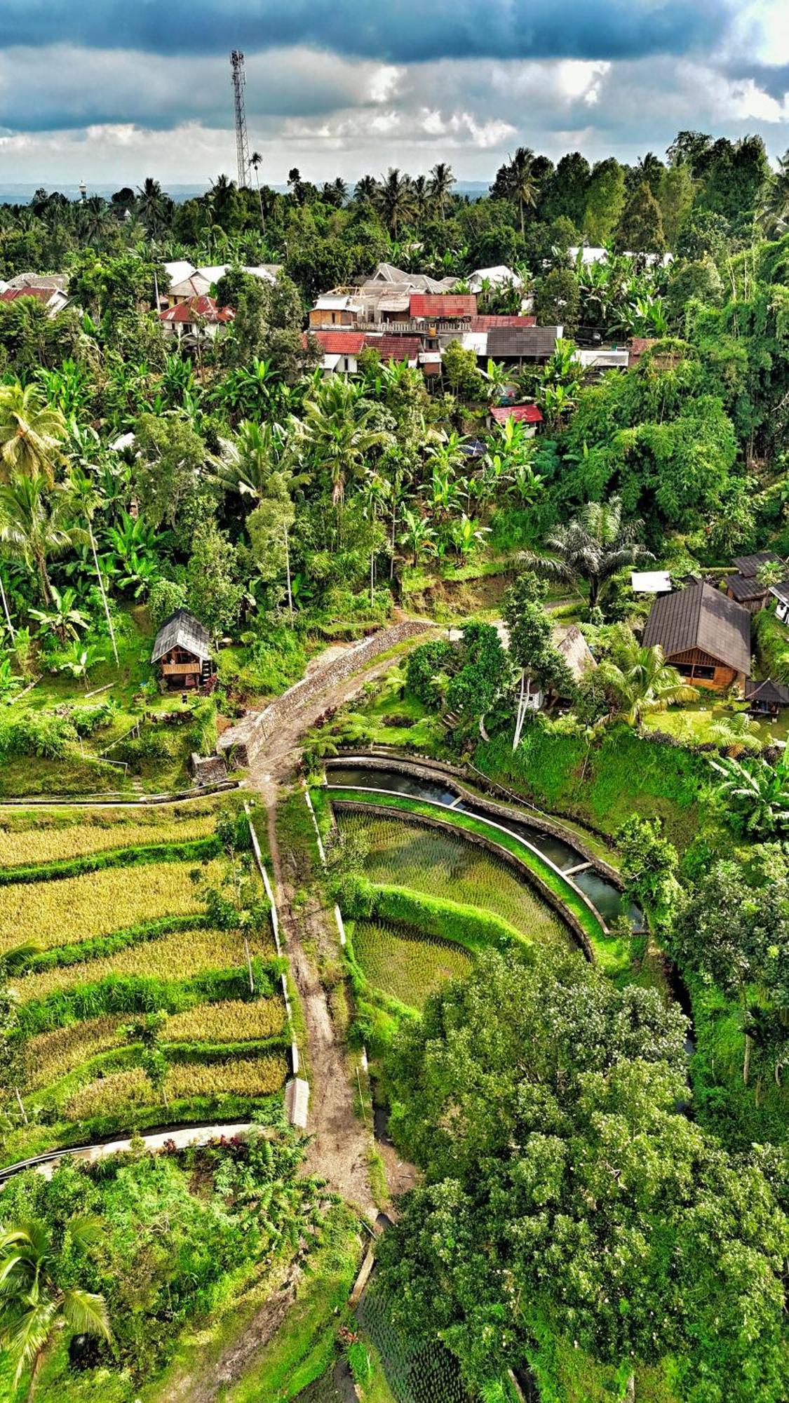 The Alam Tetebatu Bungalow & Restaurant Exterior foto