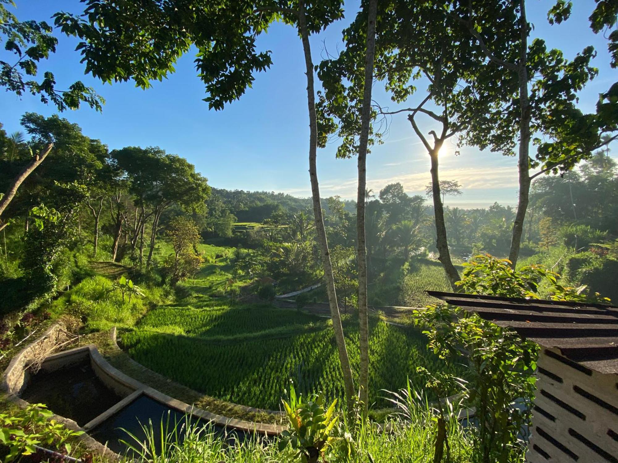 The Alam Tetebatu Bungalow & Restaurant Exterior foto