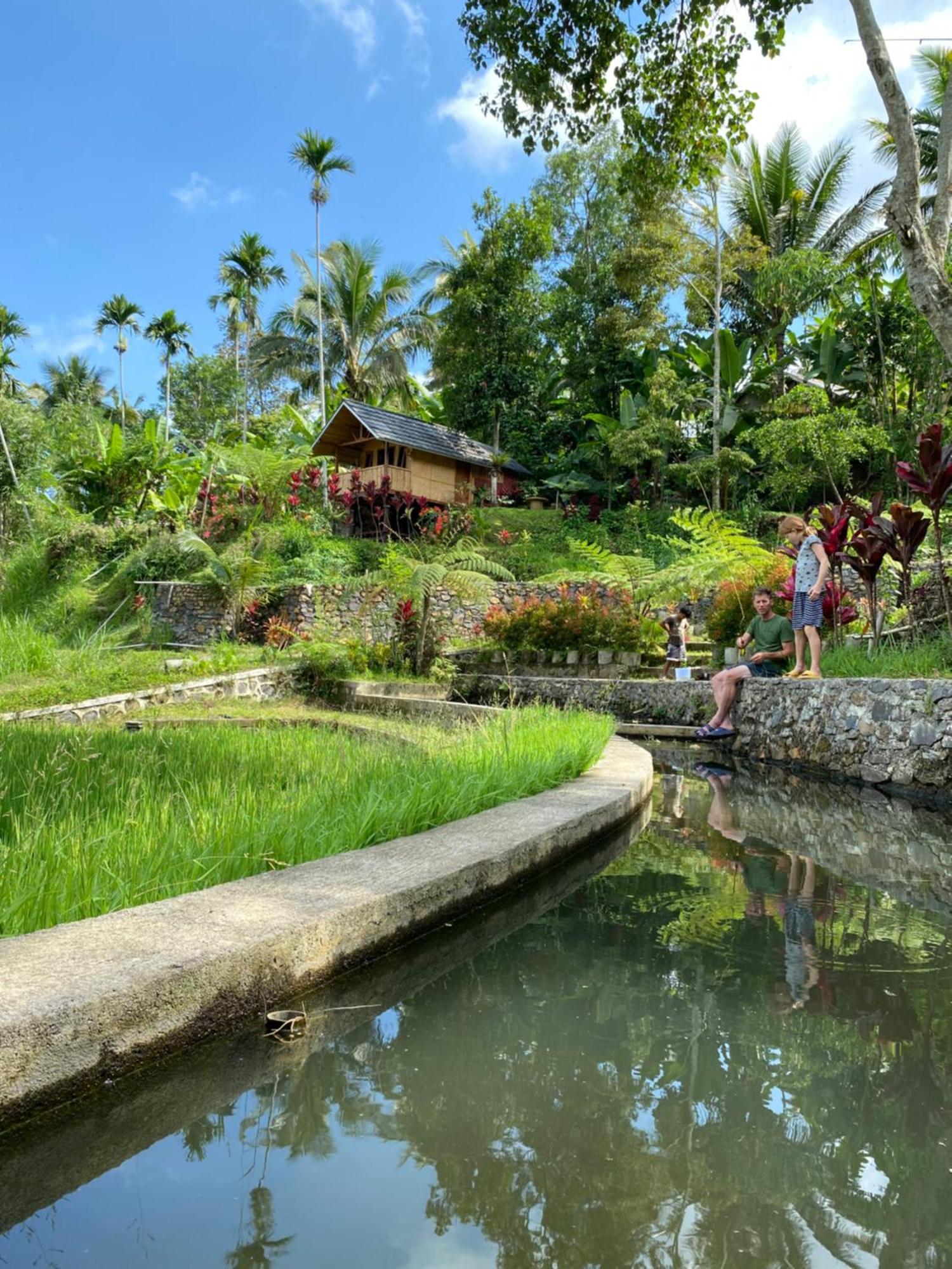 The Alam Tetebatu Bungalow & Restaurant Exterior foto